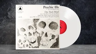 Psychic Ills ‎– One Track Mind. FULL Album from VINYL