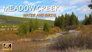 4K -- Western Stream in Springtime with Nature Sounds