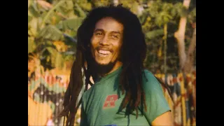 Bob Marley - Crazy Baldhead (instrumental)