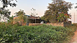 Clean up an overgrown weedy house with a subtle transformation