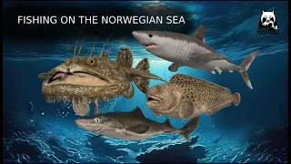 FISHING ON THE NORWEGIAN SEA |Russian Fishing 4 RF4 Norwegian Sea