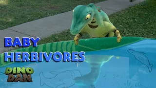 Baby Herbivores | Dino Dan | Dino Kids