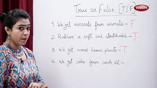 CBSE Class 3 Science : What are Things Made of? | True or False  | Science Activities For Kids