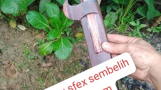 pisaw sfex sembelih PB 25 cm