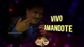 Vivo amandote - Lalo Rodriguez+letra (Lyric Video) (Salsa Con Letra) HQ