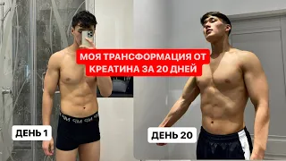 ЧТО БУДЕТ ЕСЛИ ПИТЬ КРЕАТИН 20 ДНЕЙ ???