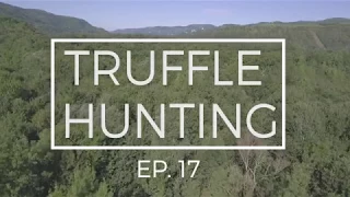 Truffle hunting Croatia