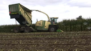 Maishakselen 10-10-2012. Harvesting Maize with a Krone Big X Cargo