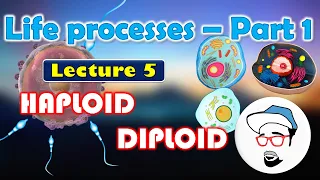 Haploid  V/S  Diploid || Life processes in Living Organisms Part 1 Class 10 SSC CBSE