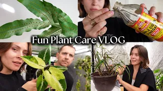 Cleaning, Pest Prevention, & Watering Grow Tent Houseplants | PLANT CARE DAY VLOG