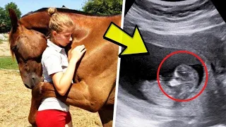 Horse Keeps Hugging Woman   When Vet Looks At Ultrasound He Discovers Why