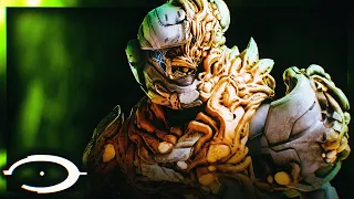 THE RETURN OF THE FLOOD - NEW Spartan Combat Forms EXPLAINED & A NEW GRAVEMIND?
