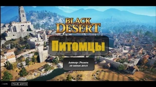 Питомцы в Black Desert