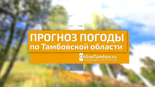 Прогноз погоды в Тамбове и Тамбовской области на 5 июня 2024 года