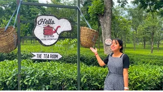 AGV#54 : Wah Tea Estate Palampur 🍵🍀