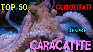 Top 50 curiozitati despre CARACATITE