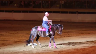 National Western Stock Show Freestyle Reining - Justin Henderson