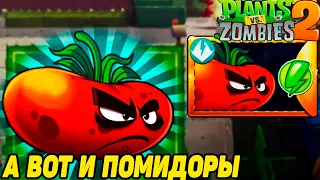 Plants vs. Zombies 2 #57 ЗАРАБОТАЛ ПОМИДОРЫ