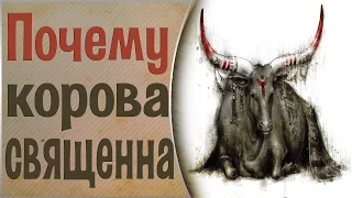 Почему корова священное животное.  Общение с Духами