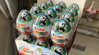 KINDER Natoons 2024🐼 Удалось ли собрать серию из 2 палеток?