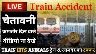 Live! Train Hits Animals | 16 Times When Train Hits Cattle Accidentally | RN360