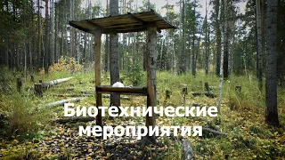 Биотехнические мероприятия