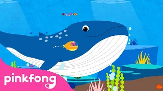 Paus Biru | Lagu Binatang | Kartun & Lagu Anak | Pinkfong dan Baby Shark