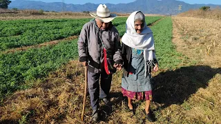 "Pasamos mucho frío sin un colchoncito"|Tío Manuel y Tía Rosa.