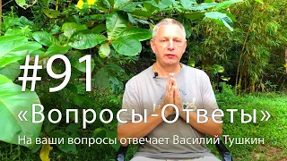 "Вопросы-Ответы", Выпуск #91 - Василий Тушкин отвечает на ваши вопросы