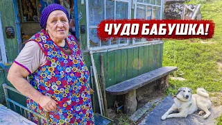 По ночам приходит озарение!  | Калужская обл, Козельский р/н д. Хозцы, д. Клюксы