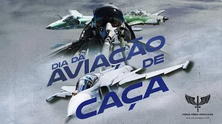 Aviação de Caça da Força Aérea Brasileira