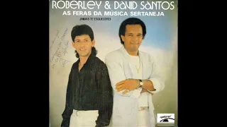 02 Eu Vou Rifar Meu Coração - Roberley e David Santos - Jamais Te Esquecerei (1990)