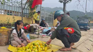 Poor girl harvests passion fruit to sell at the Tet market at the end of the year