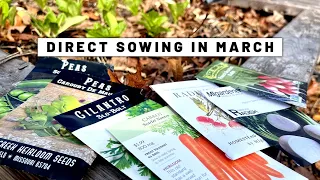 Seeds to direct sow in March! Vegetables + flowers (Zone 7) | GroundedHavenHomestead