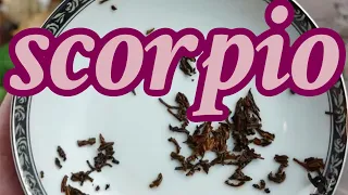 SCORPIO:🌈💰 PROPHECY COME TRUE! RARE POWER OF THE DIVINE! ✨ // ASMR tea leaf reading horoscope