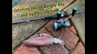Catching squids botany bay and sydney harbour