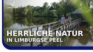 Ferienpark Center Parcs Limburgse Peel entdecken – Familienurlaub im Ferienhaus am Wasser