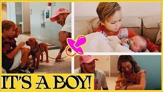 EP. 5 || IT'S A BOY!