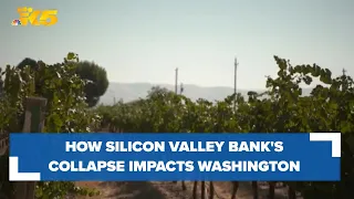 Silicon Valley Bank collapse impacts Washington wineries, tech industry