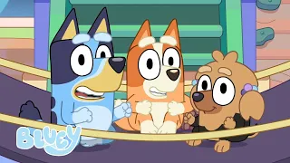 Das Beste von Bluey und Bingos Freunden | Staffel 1 | Bluey - Deutsch Offizieller Kanal