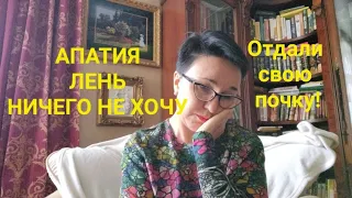 Посиделки.  Апатия Лень Ничего не хочу. Возьмёте меня на перевоспитание? Отдали свою почку ради....