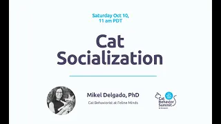 Do Cats Have Friends? [Cat Behavior Summit 2020]