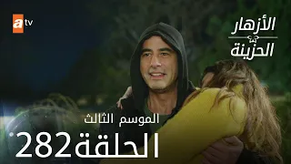 مسلسل الأزهار الحزينة | الحلقة 282 - الموسم الثالث