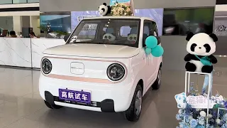 Geely Panda Mini EV (2023) Interior & Exterior Walkaround