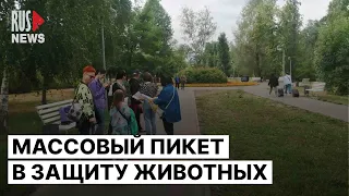 ⭕️ Массовый пикет за гуманное отношение к животным в Казани