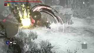 Animus: Revenant | NG+ First Boss
