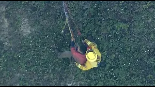 DEVIL'S SLIDE CRASH:  Raw video of rescue workers pulling driver who drove off cliff on Highway 1 up