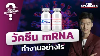 วัคซีน mRNA ทำงานอย่างไร? | GOOD QUESTIONS #2