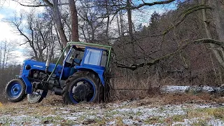 Svážení dřeva se Zetorem 3011