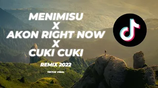 MENIMISU REMIX FULL BASS X AKON RIGHT NOW X CUKI CUKI (REMIX 2022)